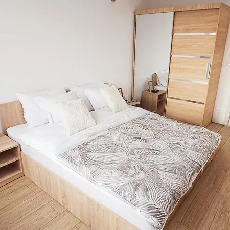 7 Steps-tineretului